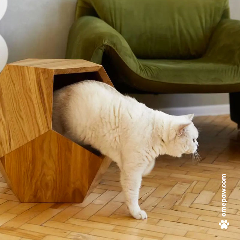 Kubiko - niche chiens et chats
