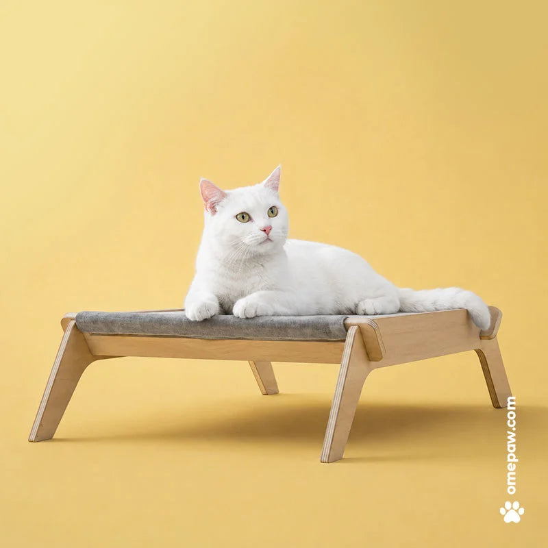 Octogo - Lit surélevé pour chat et chien